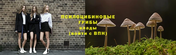 мдпв Магас