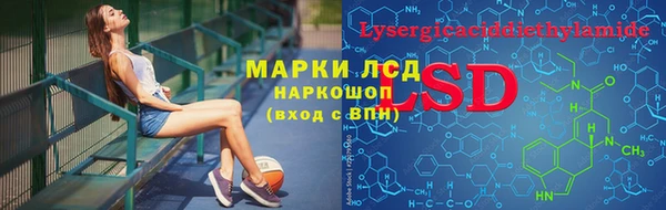 мдпв Магас