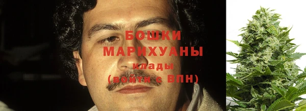 мдпв Магас