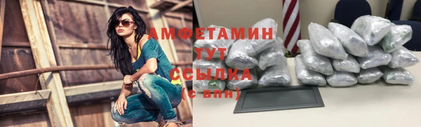 мдпв Магас