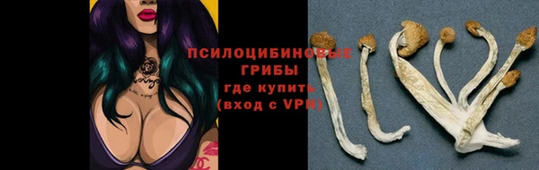мяу мяу мука Майский
