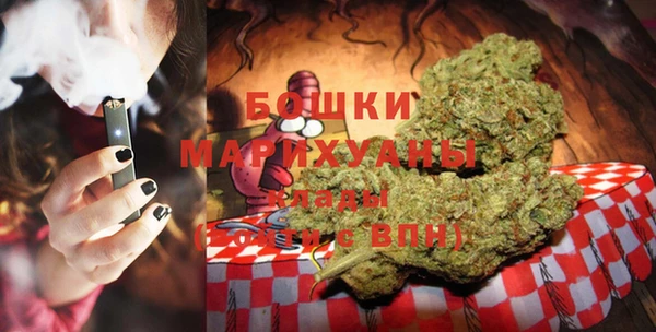 мдпв Магас