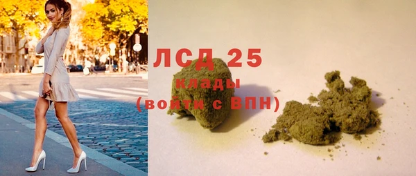 мяу мяу мука Майский