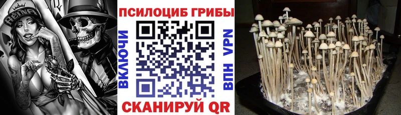 Галлюциногенные грибы GOLDEN TEACHER  Приволжский 